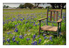 A Child's Resting Spot - Old Baylor Park (Independence, TX)