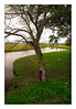 Vince (silentrunner) > Springtime in Brenham, Texas - 2006 photo