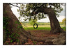 Vince (silentrunner) > Springtime in Brenham, Texas - 2006 photo