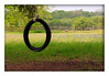 Vince (silentrunner) > Springtime in Brenham, Texas - 2006 photo