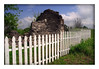 Vince (silentrunner) > Springtime in Brenham, Texas - 2006 photo