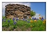 Vince (silentrunner) > Springtime in Brenham, Texas - 2006 photo